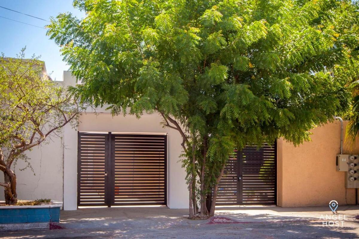 Downtown Room With Pool Bbq And Near All The Hotspots La Paz Eksteriør billede